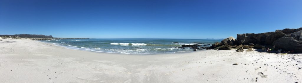 beach at Walker Bay Nature Reserve